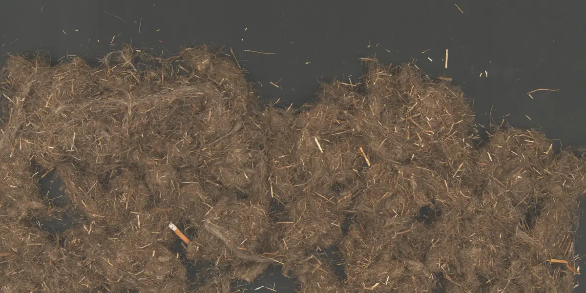 Zigaretten­stummel — Echte Aufnahmen der Kamera. Flax Clean markiert jedes Fremdmaterial zwischen den Fasern.