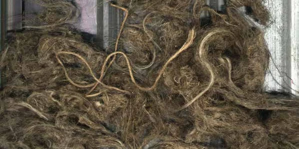 Naturfaser — Echte Aufnahmen der Kamera. Flax Clean markiert jedes Fremdmaterial zwischen den Fasern.