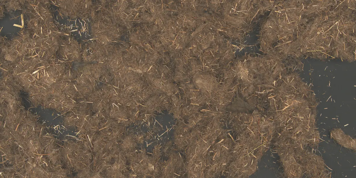 Papier — Echte Aufnahmen der Kamera. Flax Clean markiert jedes Fremdmaterial zwischen den Fasern.