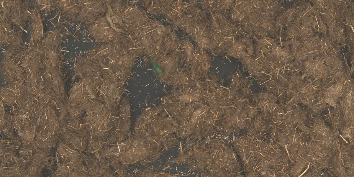 Kunststoff — Echte Aufnahmen der Kamera. Flax Clean markiert jedes Fremdmaterial zwischen den Fasern.