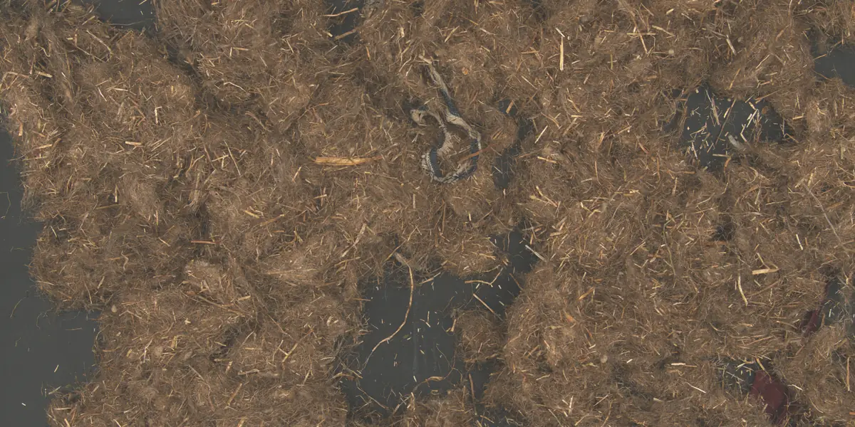 Textil — Echte Aufnahmen der Kamera. Flax Clean markiert jedes Fremdmaterial zwischen den Fasern.